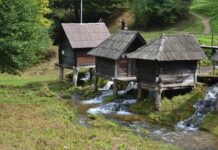 The Sultan’s Sleeping Habits