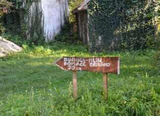 The Sultan’s Wealth and Mental Health