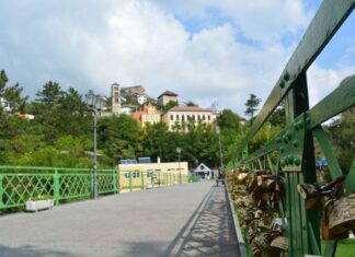 Abundance of Wild Animals and Birds