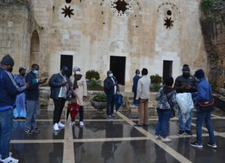 Role of Microregional Dentists